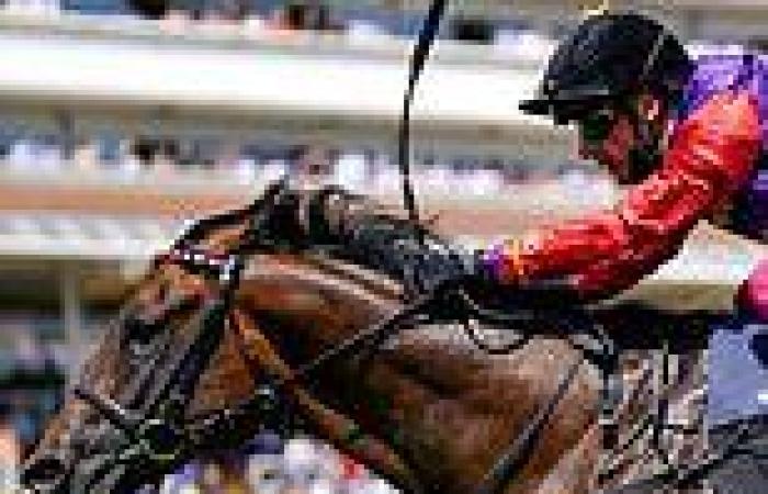 sport news The Queen's squad beefed up for Royal Ascot in search of Platinum Jubilee winner trends now