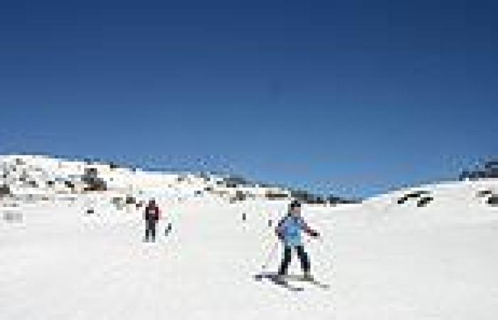 Friday 10 June 2022 08:58 AM Snow piles up at Australia's ski fields - but most Aussies will never be able ... trends now