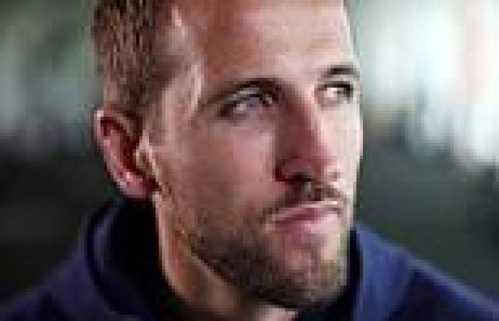 sport news Harry Kane on England's World Cup ambitions and why he never gave up hope at ... trends now