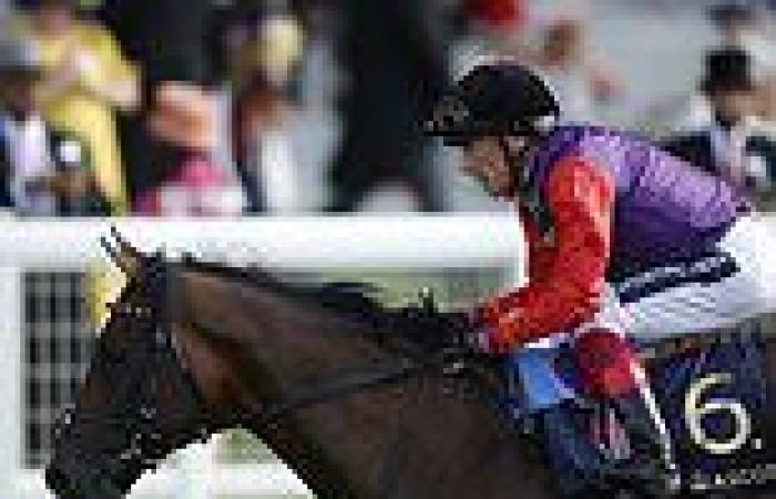 sport news Royal Ascot: Queen's horse Reach For The Moon finishes second in the Hampton ... trends now