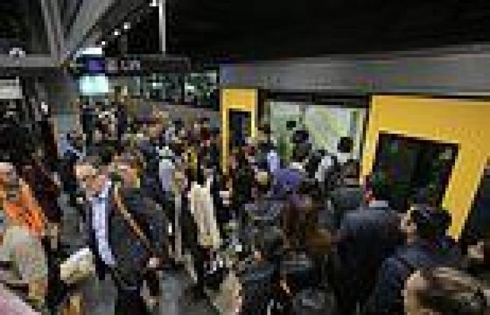 Tuesday 21 June 2022 11:17 PM Sydney trains: NSW public transport fares will rise trends now
