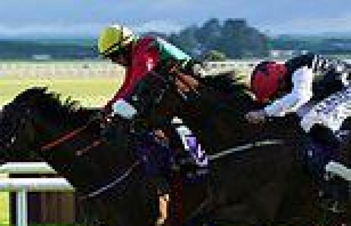 sport news Robin Goodfellow's racing tips: Best bets for Saturday, June 25 trends now