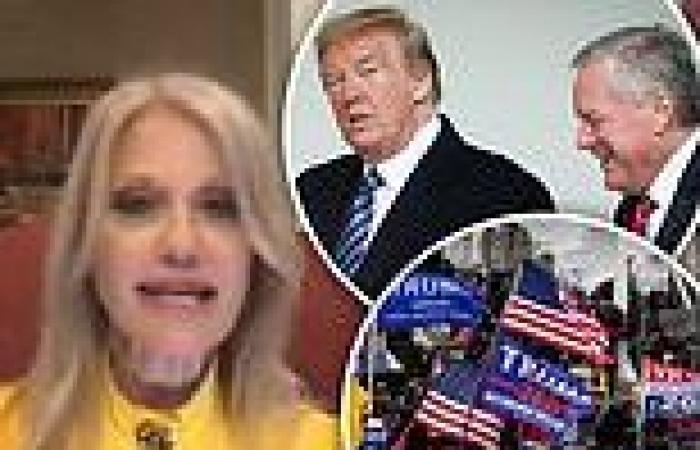 Friday 24 June 2022 02:21 PM Kellyanne Conway insists Trump 'believes he won the election' and blames ... trends now