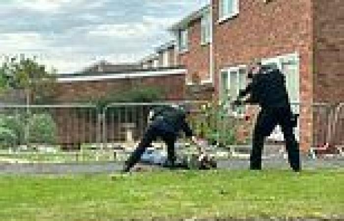 Friday 24 June 2022 01:54 PM Armed police stop teenage boy carrying a TOY gun through Droitwich housing ... trends now