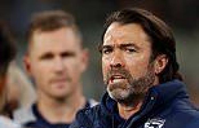 sport news Geelong coach Chris Scott makes a SENSATIONAL admission about Tom Stewart's ... trends now