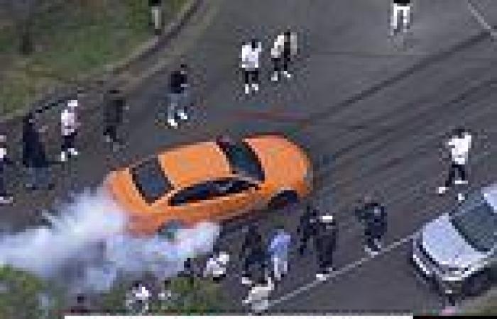 Sunday 26 June 2022 04:00 PM Ford and Lamborghini hoons take over Bass Hill street to celebrate Sydney ... trends now