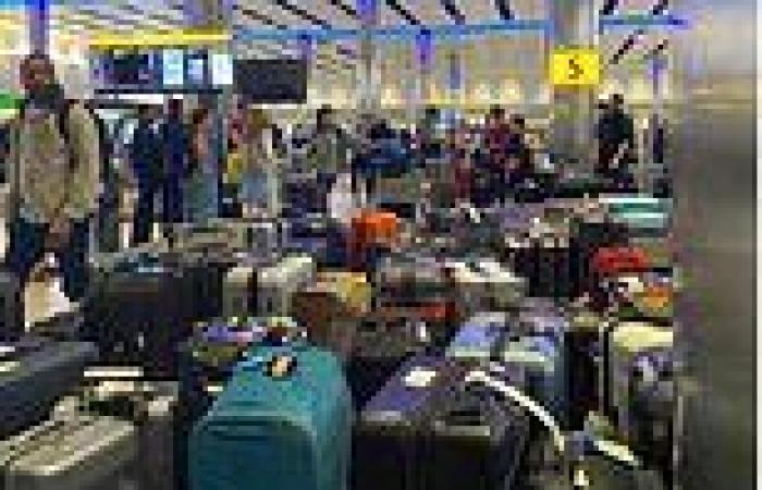 Tuesday 28 June 2022 07:36 AM Heathrow passengers complain of smell after unclaimed bags are left to sit 'for ... trends now