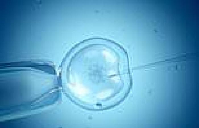 Tuesday 28 June 2022 12:06 AM Babies born through IVF end up being smarter... but are more prone to ... trends now