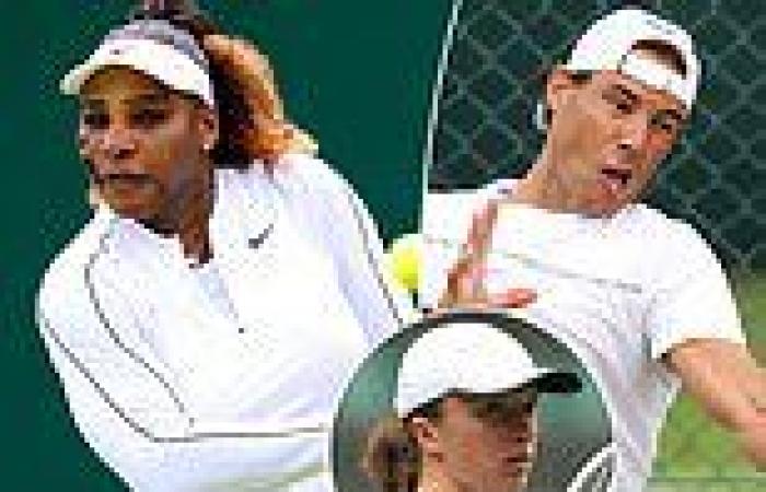 sport news Wimbledon Day Two order of play and how to watch: Serena Williams and Rafael ... trends now