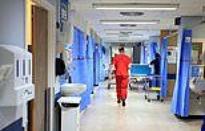 Wednesday 29 June 2022 12:06 AM NHS bosses plan to ease bed crisis by turning patients' bedrooms into wards in ... trends now