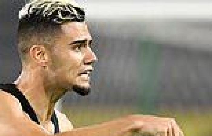 sport news Man United: Andreas Pereira says he wants to STAY at Flamengo after wonder ... trends now