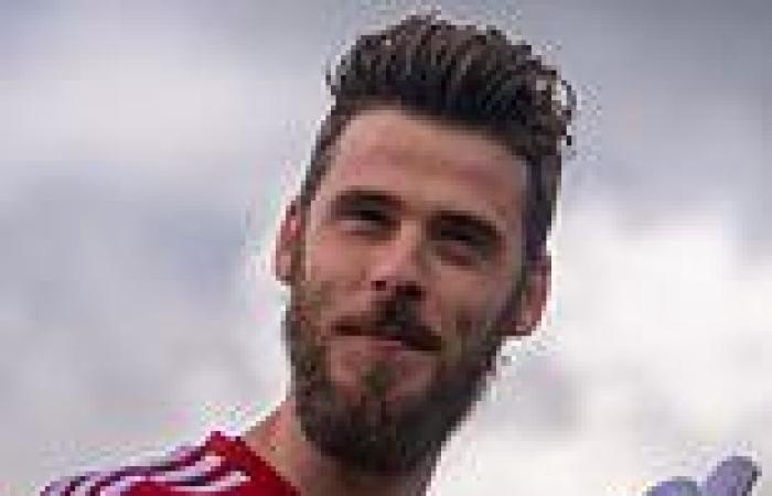 sport news De Gea insists Manchester United supporters will relish football under Ten Hag trends now