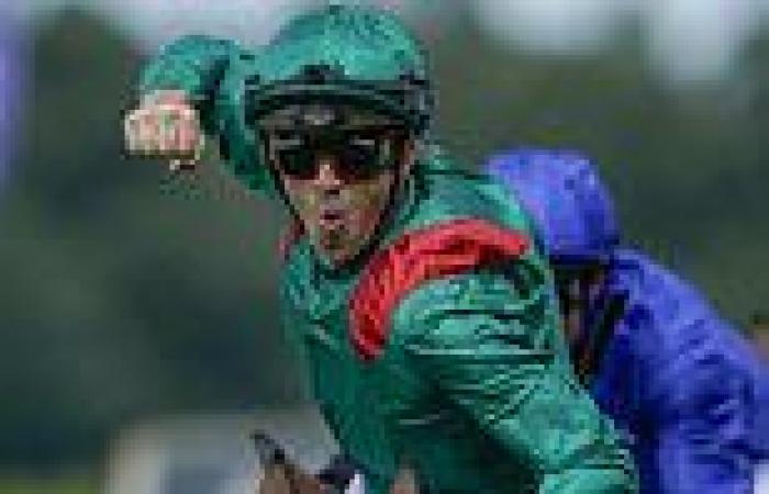 sport news Jockey Soumillon hit with 12-day ban over his wild celebrations at winning the ... trends now
