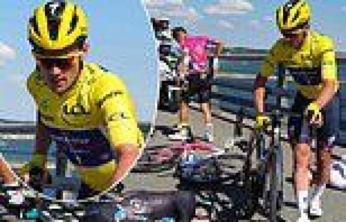 sport news Huge crash takes down yellow jersey rider Yves Lampaert at the Tour de France trends now