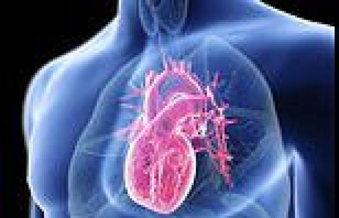 Sunday 3 July 2022 12:06 AM Bionic valve may spare heart patients from major surgery trends now