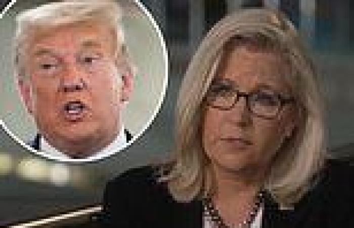 Monday 4 July 2022 04:00 PM Liz Cheney says she has NOT ruled out running for president in 2024 trends now