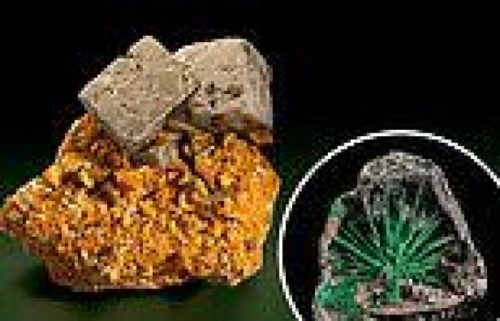 Monday 4 July 2022 04:45 PM Scientists decipher the unique origins of Earth's minerals in landmark study trends now