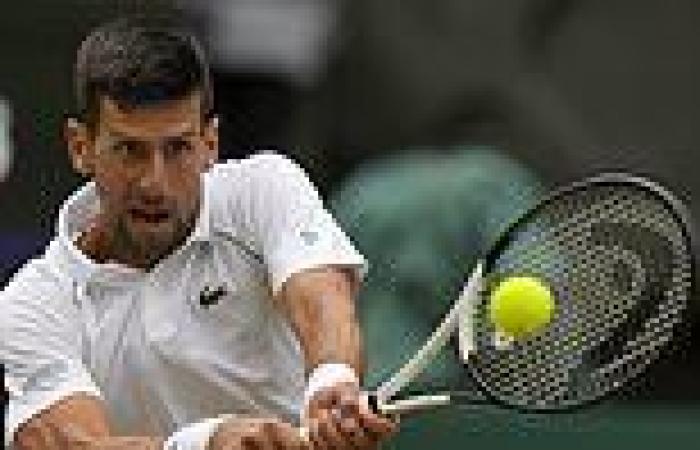 sport news Novak Djokovic completes remarkable comeback from two sets down to beat 10th ... trends now