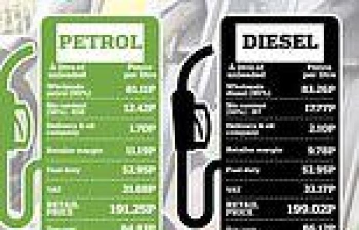 Tuesday 5 July 2022 09:42 AM Why are fuel prices so high? What makes petrol and diesel expensive trends now