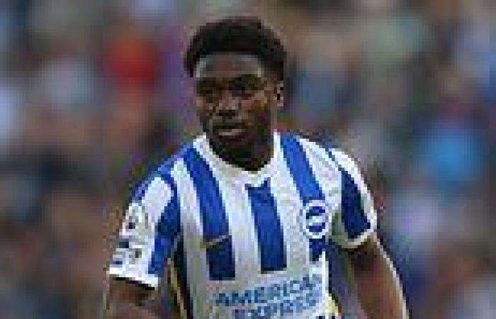 sport news Brighton defender Tariq Lamptey switches his international allegience from ... trends now