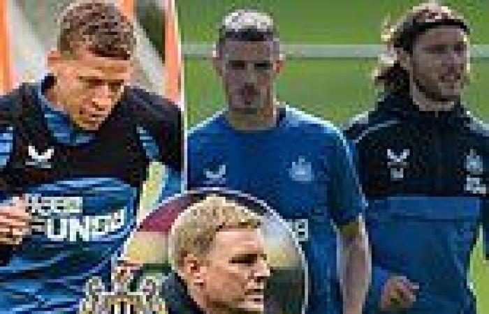 sport news Newcastle's Dwight Gayle, Jeff Hendrick and Ciaran Clark training with Under 23s trends now