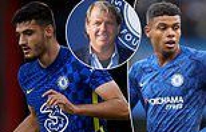 sport news Chelsea owner Todd Boehly set for talks about £30m striker Armando Broja's ... trends now