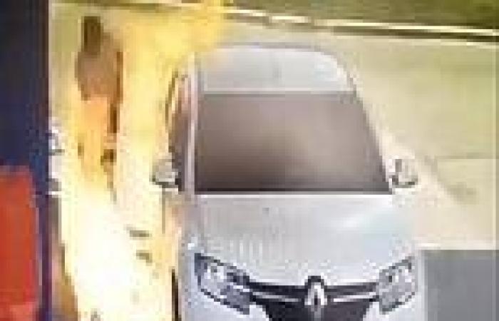 Monday 1 August 2022 06:30 PM Russian smoker sets himself on fire lighting a cigarette while filling his car ... trends now