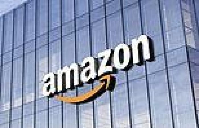Tuesday 2 August 2022 09:57 AM Amazon's CO2 emissions are INCREASING: Retail giant's carbon footprint has ... trends now