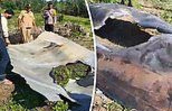 Tuesday 2 August 2022 04:42 PM Giant 16-foot-long metal fragment found in Indonesia believed to be debris from ... trends now