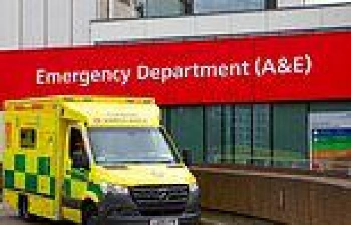 Tuesday 2 August 2022 01:42 PM How 12-hour A&E waits may be up to SIX TIMES more common than NHS makes out trends now