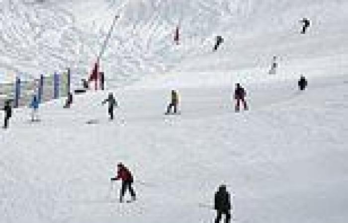 Wednesday 3 August 2022 11:19 PM Thredbo makes the huge call to not operate any of its ski lifts today as ... trends now