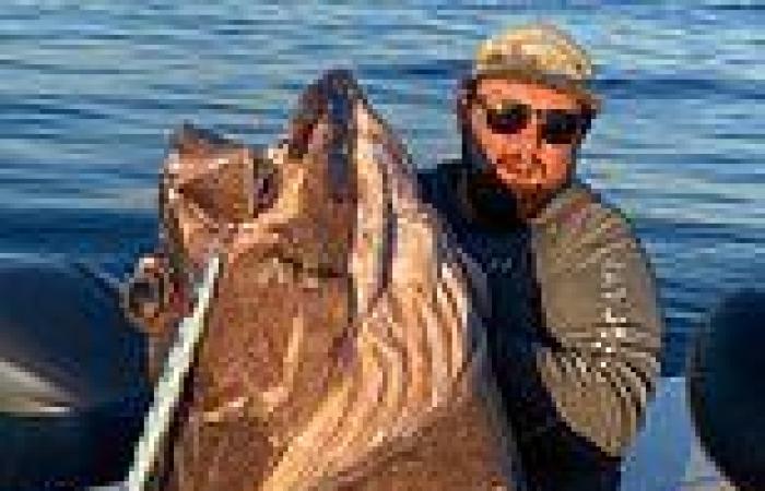 Wednesday 3 August 2022 06:30 AM Mammoth 80kg fish reeled in by stunned fisherman using a line designed to ... trends now
