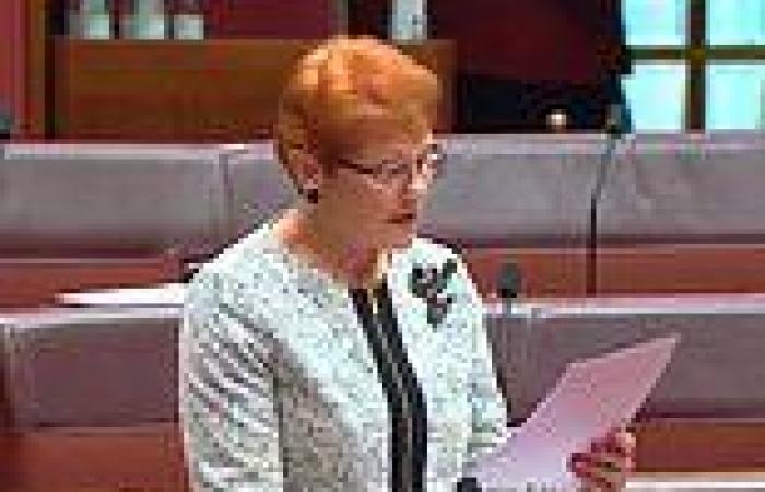 Wednesday 3 August 2022 06:21 PM Pauline Hanson claims Indigenous Voice to Parliament would be 'Australia's ... trends now