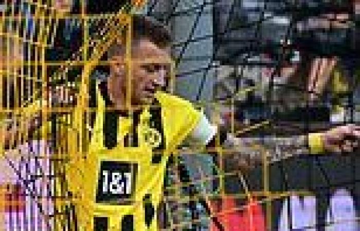 sport news Borussia Dortmund 1-0 Bayer Leverkusen: Marco Reus with the winner open the ... trends now