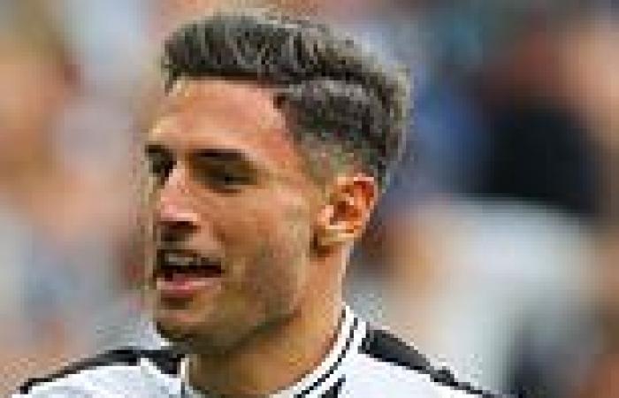 sport news Fabian Schar insists Newcastle are determined to live up to expectations after ... trends now