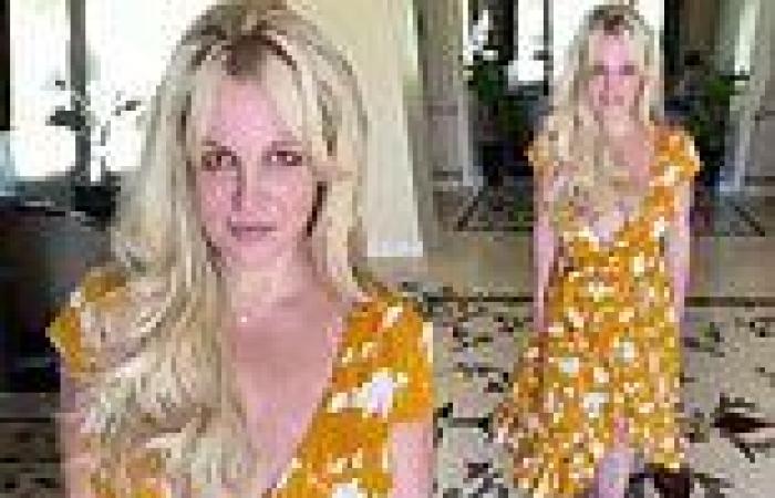 Monday 8 August 2022 12:58 AM Britney Spears dances silently in low-cut dress after Kevin Federline interview trends now