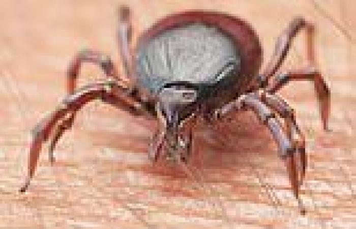 Tuesday 9 August 2022 05:55 PM Pfizer starts late-stage clinical trials Lyme disease vaccine trends now