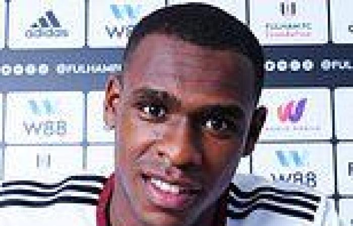 sport news Fulham complete signing of Issa Diop from West Ham for £15m with defender ... trends now