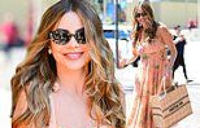 Thursday 11 August 2022 04:25 AM Sofia Vergara looks gorgeous as she flashes a smile in a floral peach dress ... trends now