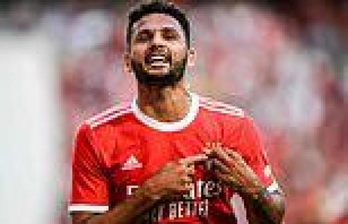 sport news Newcastle look to Benfica's Goncalo Ramos as they look to bolster their ... trends now