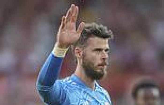 sport news DANNY MURPHY: Erik ten Hag needs a keeper who can play out from the back unlike ... trends now