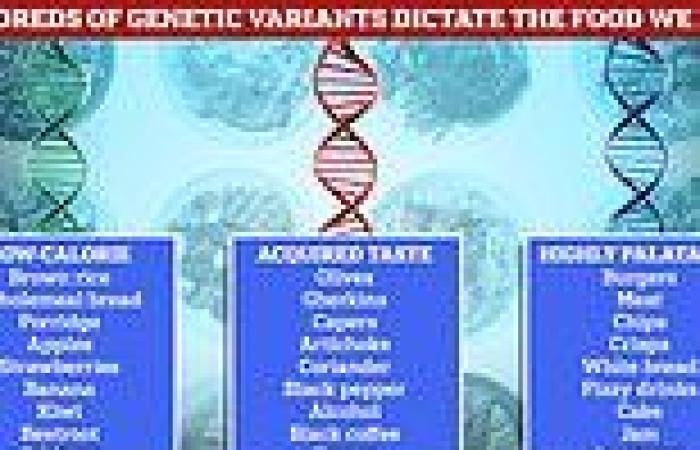 Thursday 18 August 2022 10:52 AM Which one best defines YOU? Researchers discover 400 genes that decide what ... trends now