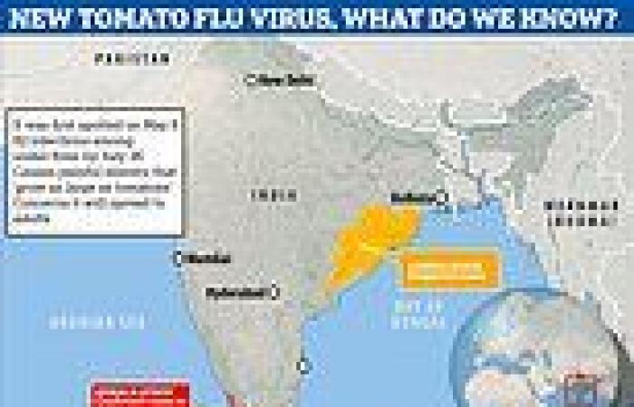 Friday 19 August 2022 02:55 PM Warning over brand new 'tomato flu' virus detected in India that infects 82 ... trends now