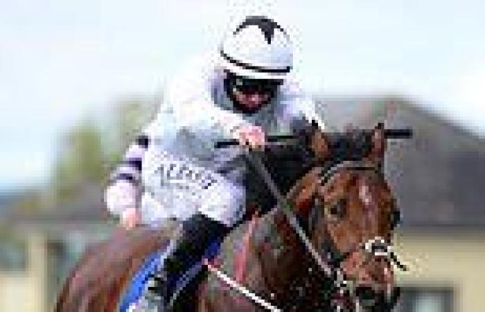 sport news Robin Goodfellow's racing tips: Best bets for Saturday, September 24 trends now