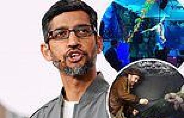 Friday 23 September 2022 07:56 PM Google CEO Sundar Pichai tells staff 'not to equate money with fun' amid ... trends now