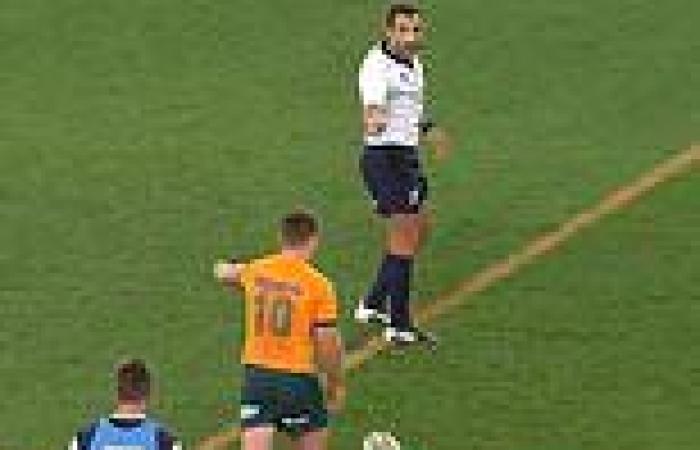 sport news Never-before-seen Bledisloe Cup footage shows Wallaby Bernard Foley snubbing ... trends now