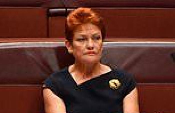 Friday 23 September 2022 11:32 AM Pauline Hanson brands Lidia Thorpe 'despicable' for taking part in ... trends now