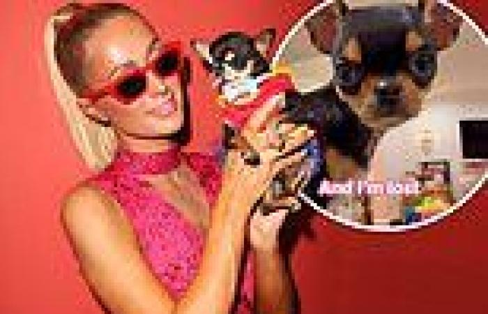 Saturday 24 September 2022 10:56 PM The £10,000-a-day hunt for Paris Hilton's beloved chihuahua, 'Diamond Baby' trends now