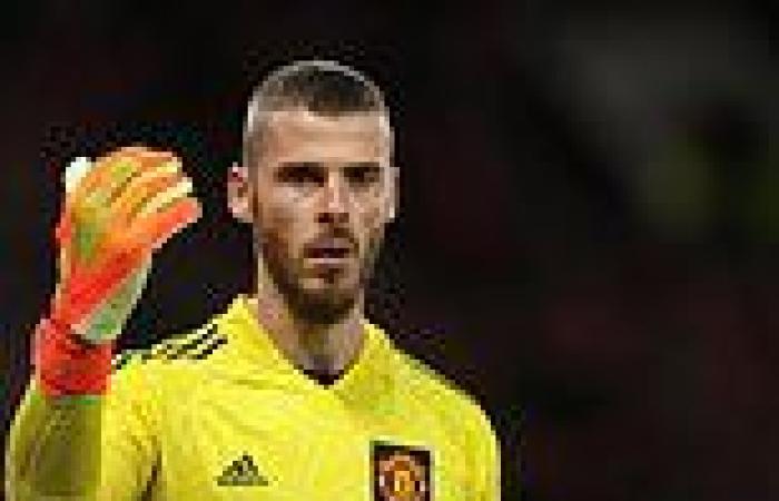 sport news Manchester United's Spanish goalkeeper David de Gea 'could leave for FREE at ... trends now