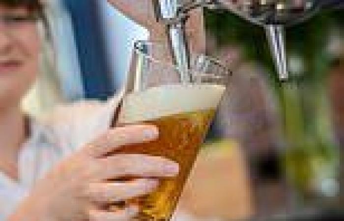 Monday 26 September 2022 10:20 AM Beer IS good for you! Scientists claim two pints a day may slash your risk of ... trends now